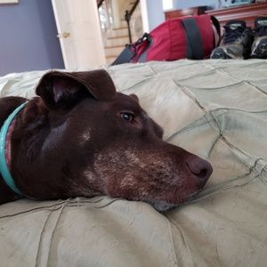 Meet your Posher, Stuart